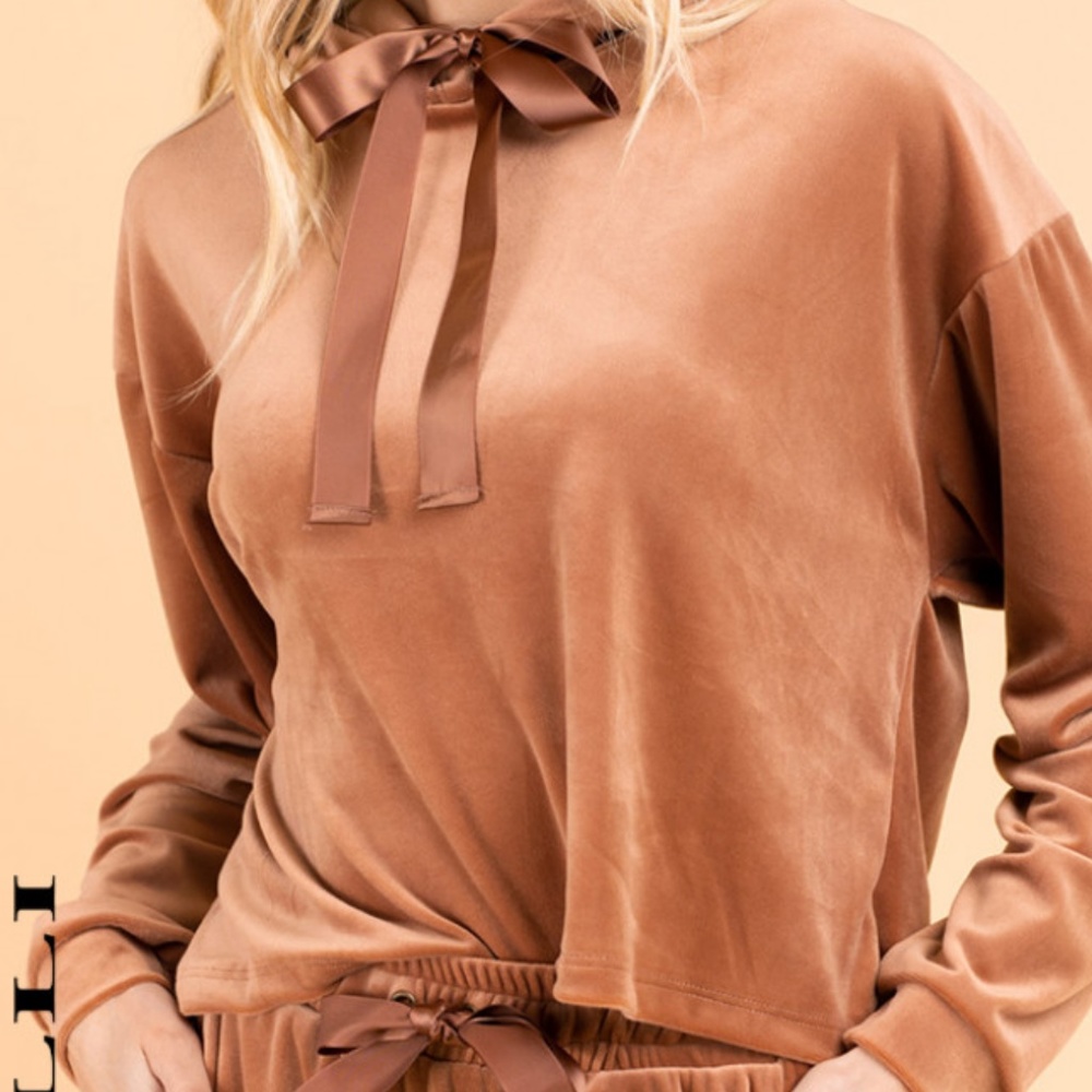 Velvet Long Sleeve Hooded Top Brick Brown